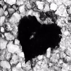 Meet your Posher, Kylee